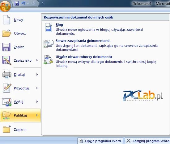 MS Word – ciąg dalszy opcji publikowania dokumentu