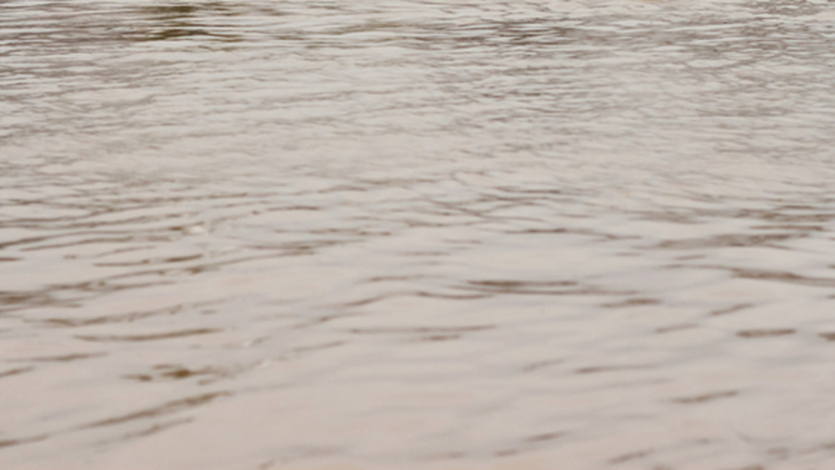 Na Podkarpaciu w wyniku intensywnych opadów deszczu wzrósł poziom rzek w regionie. Pogotowie przeciwpowodziowe ogłoszone zostało w gminie Zarszyn i w powiecie jasielskim. Według meteorologów, w województwie w środę po południu opady deszczu mają zanikać.