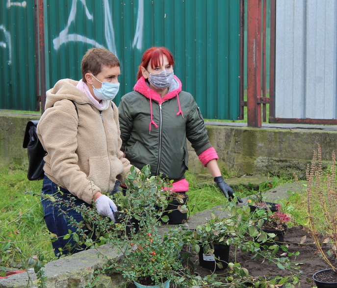 Gdynia: mieszkańcy samodzielnie stworzyli sąsiedzką rabatę