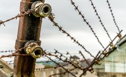 Przełomowa decyzja prokuratury w Berlinie. Były strażnik Mauthausen oskarżony o współudział w zabiciu 36 tys. osób