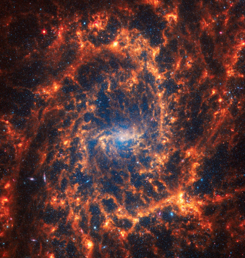 Galaktyka NGC 2835