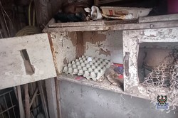 Boguszewo-Gorce: Miał ochotę na jajecznicę i rosół. Okradł kurnik