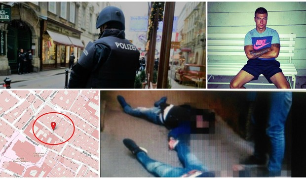 Ubistvo Vladimira Roganovica, kombo