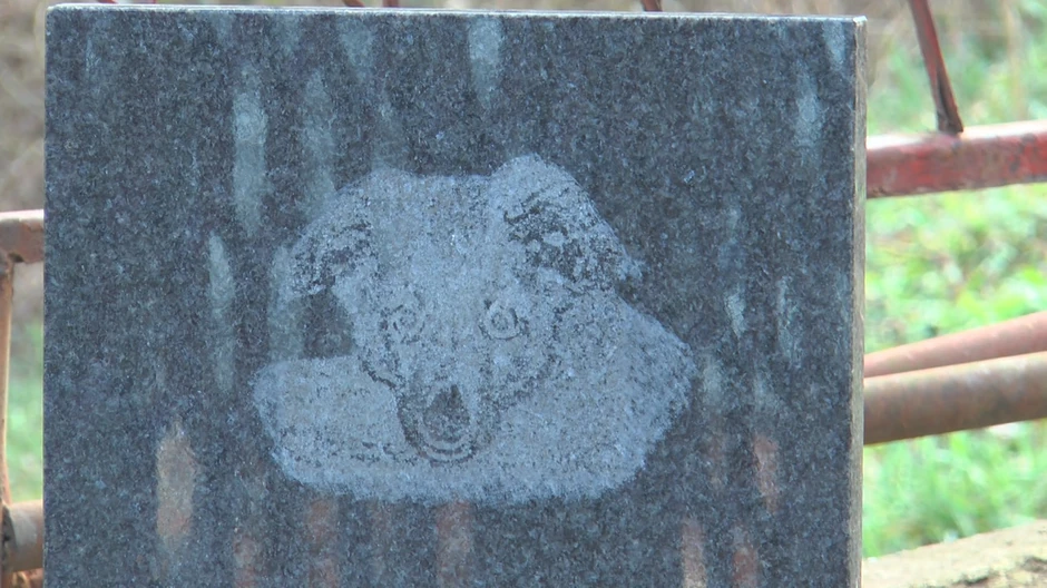 Za kratko vreme, koliko je provela sa njima, Kasandra se uvukla Ćirićima u srce