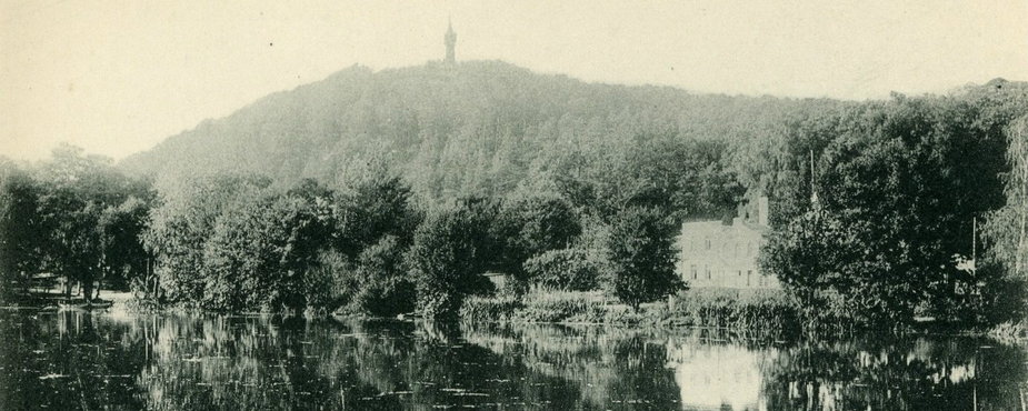 Lasy Oliwskie w 1903 r.