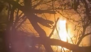 Požar na automobilu na Dorćolu