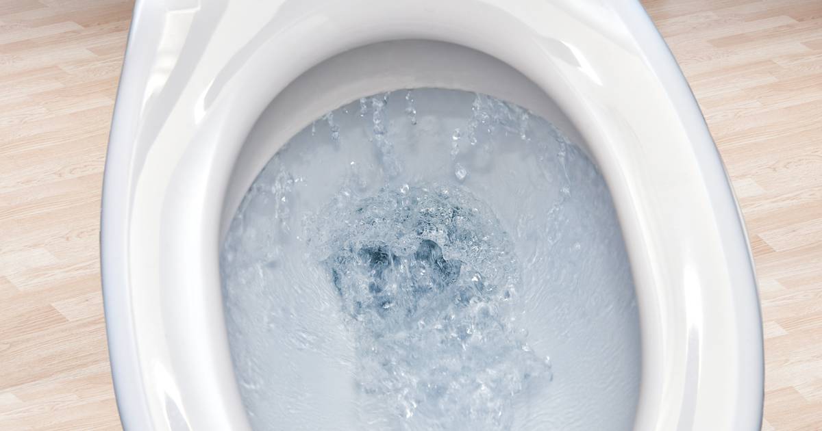 Discover a home way to get a sparkling toilet without chemicals!