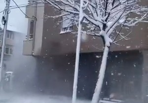 Požar u Zemun Polju