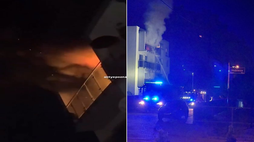 Cruel revenge on the ex -girlfriend. Set fire to the apartment and threw the dog through the balcony