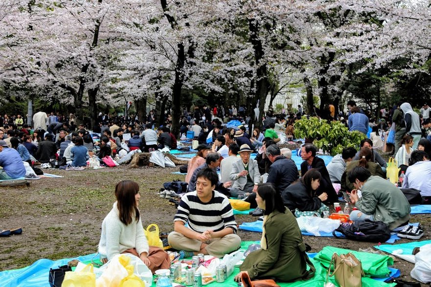 Japonia