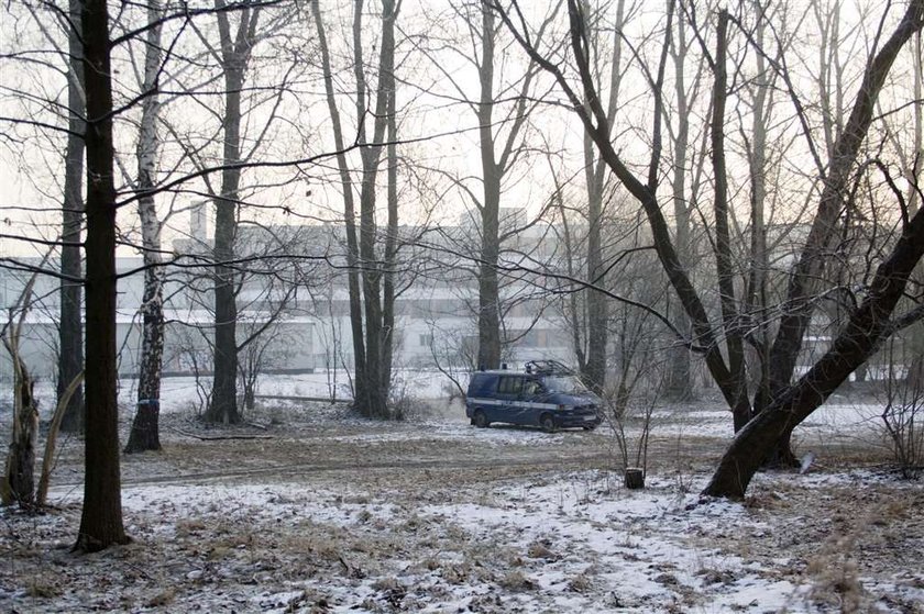 Matka Madzi z Sosnowca rozbiła głowę mężowi