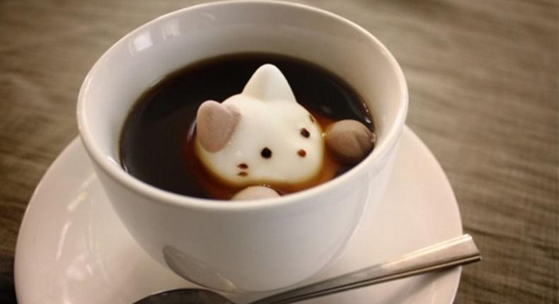 Kitten in a mug