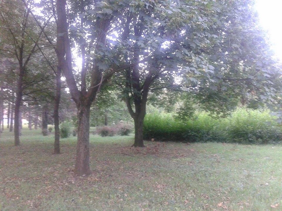 Kraj između naselja Nova Misa i Tesla i danas se naziva Dudara