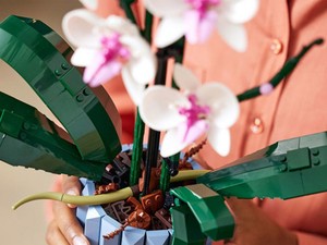 Állandóan kipusztul az orchideád? Meglepő, de a Lego fog segíteni rajtad!
