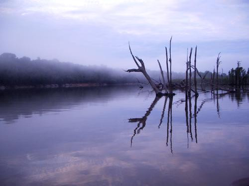 Galeria Wenezuela, Brazylia - dżungla i Roraima, obrazek 14