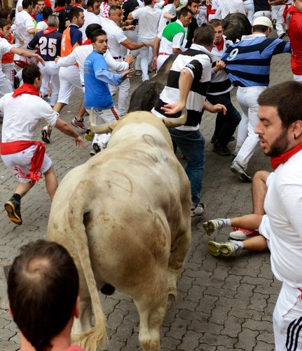 Bieg byków w Pampelunie