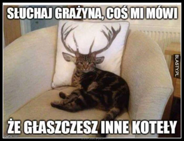 Obrazek