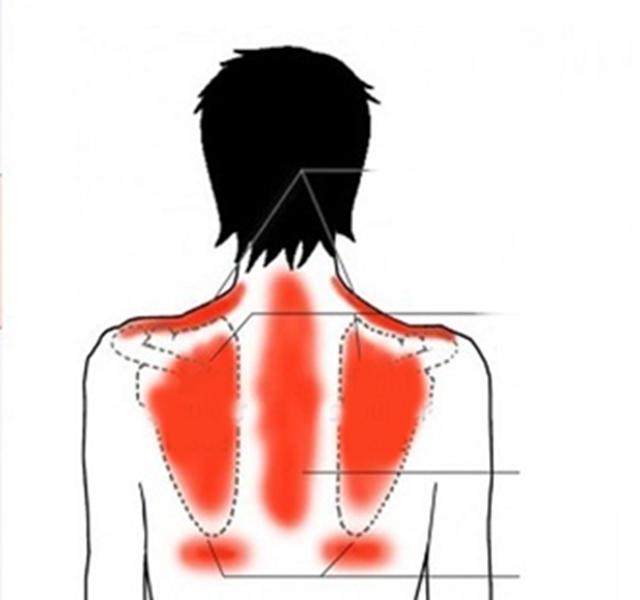 Hogyan lehet megkülönböztetni a vesefájdalmat a hát- és derékfájástól?