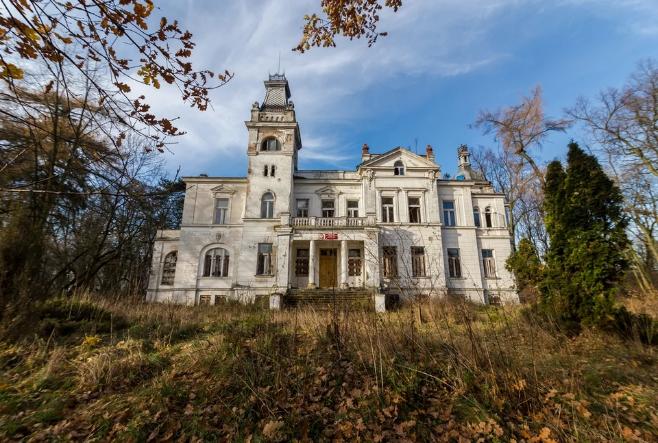 Pałac Kępalskich w Woli Boglewskiej