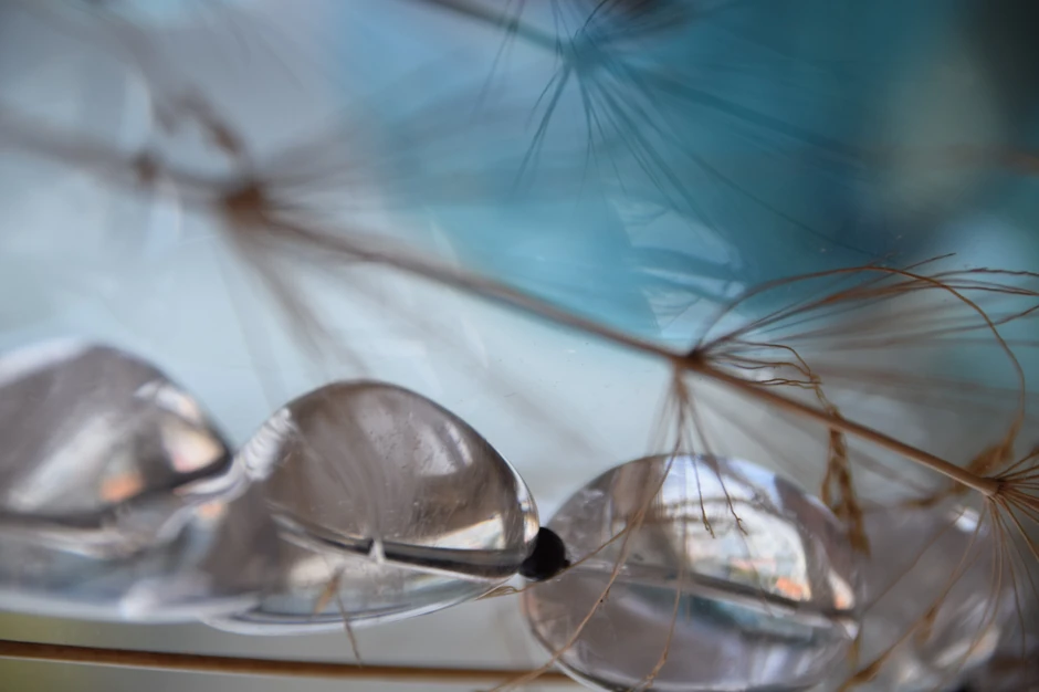 Zrak sunca u mojoj mreži