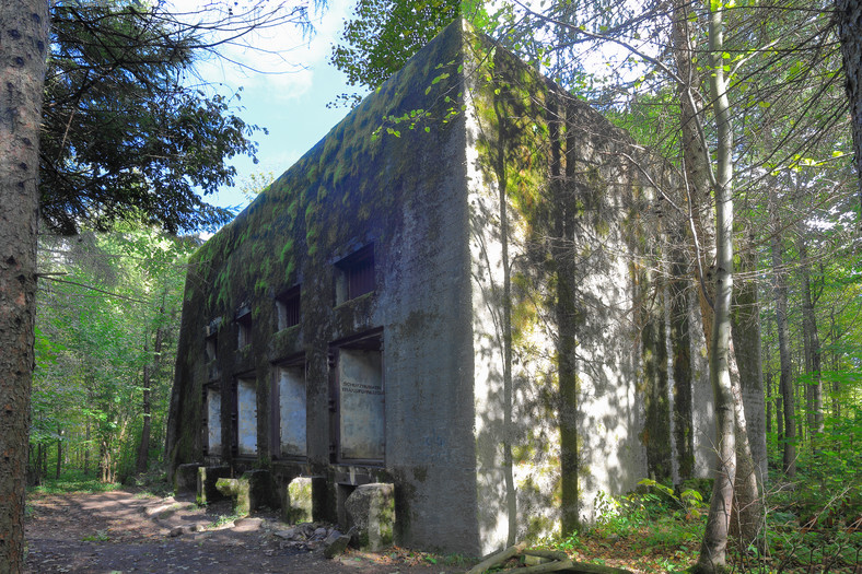 Kompleks niemieckich bunkrów w Mamerkach na Mazurach
