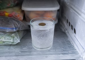 Novčić u frižideru