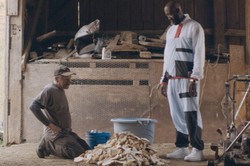 "Król nie żyje" i "Królowa pracująca" zwycięzcami 12. American Film Festival