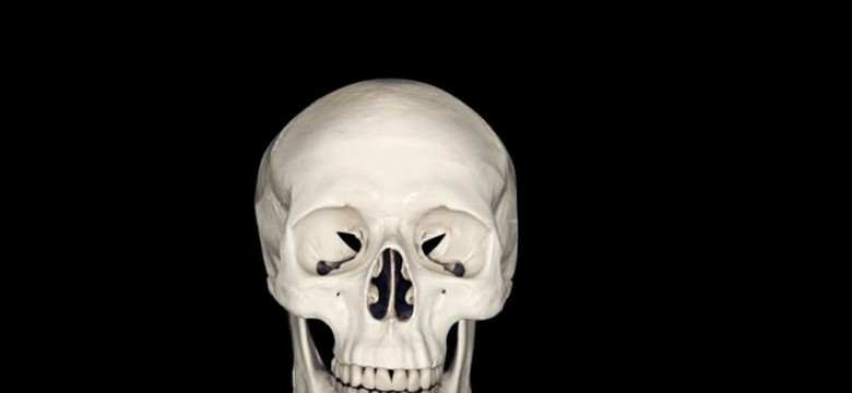 Żenujące i nieśmieszne. Recenzujemy spoty wyborcze polityków. WIDEO