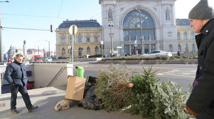 A pályaudvar aluljárójába nagy forgalom idején nem könnyű lejutni az eldobott  fáktól/Fotó:Varga Imre