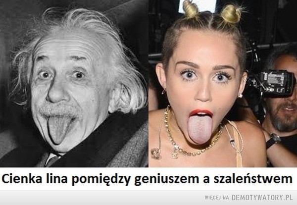 Galeria najlepszych MEMów minionego tygodnia