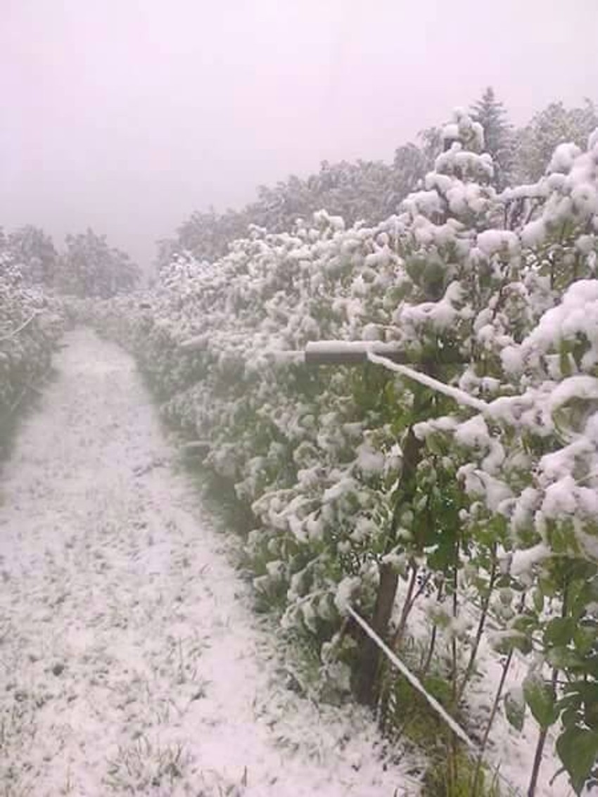 Sneg koji je juče pao u Ivanjici