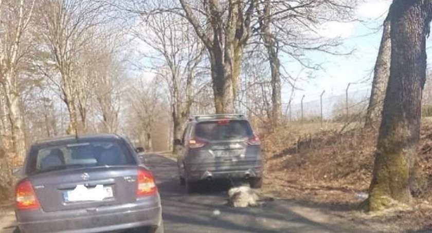 Kadr z filmu, który trafił na policję. 