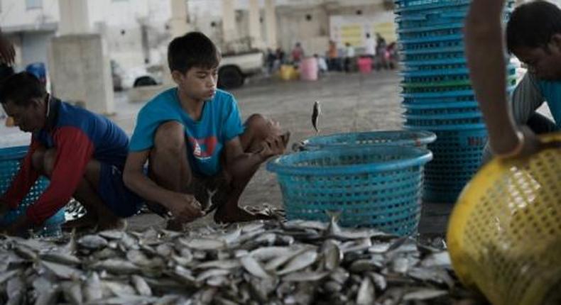 Thai fishermen strike over new rules imposed after EU's warning