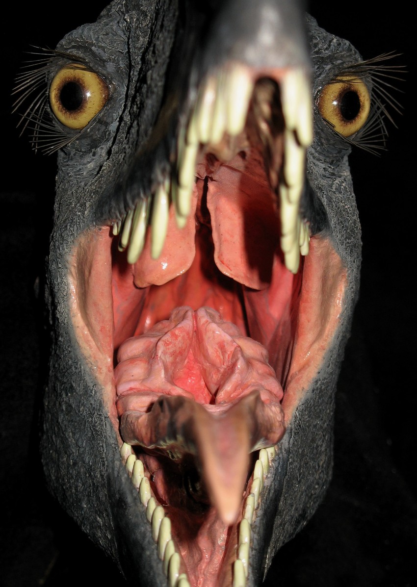 Užičanin svojim kreacijama dočarava bića koja su davno hodala zemljom