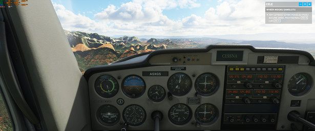 Flight Simulator