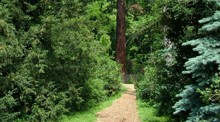 A Szarvasi Arborétum