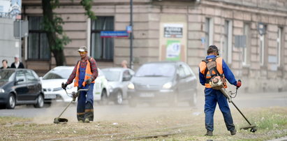 Koszą piach, a chwasty rosną pod niebo