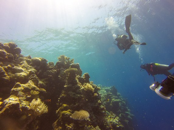 Archipelag Bahama szczyci się najczystszą wodą na naszej planecie.