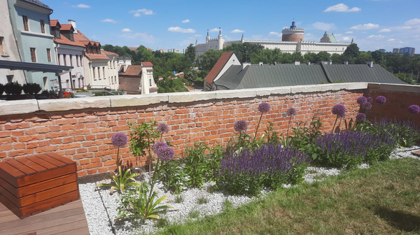 Im więcej zieleni w mieście, tym bardziej komfortowo się w nim mieszka i przebywa, zwłaszcza latem, kiedy temperatury mocno dają się nam we znaki.