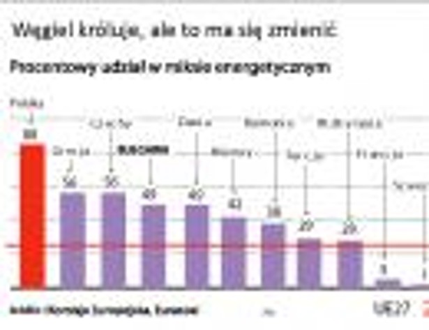 Udział węgla w miksie energetycznym