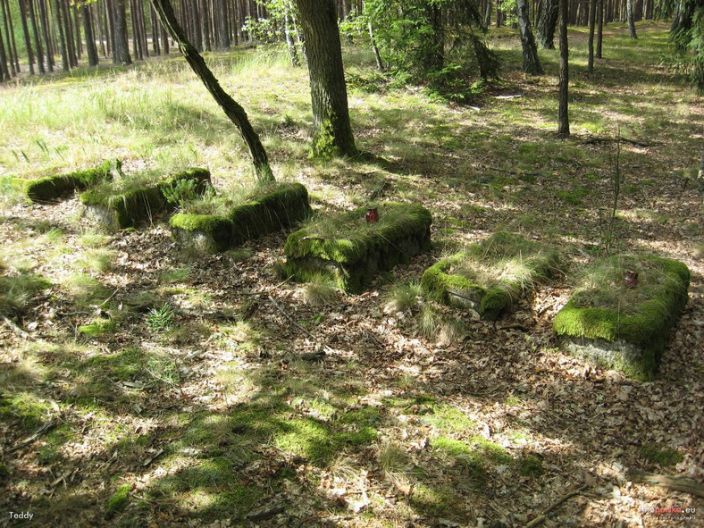 Cmentarz w Raduszu