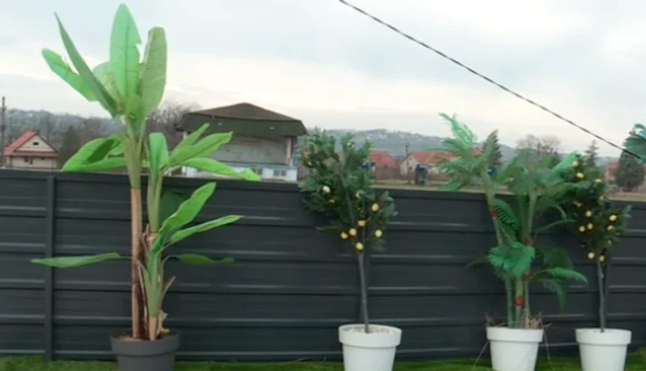 Sestra Bore Santane pokazuje njegovu nekretninu