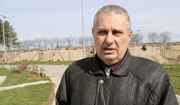 647557_veterina-beograd-budimir-grubic01rasfoto-milorad-milankovic