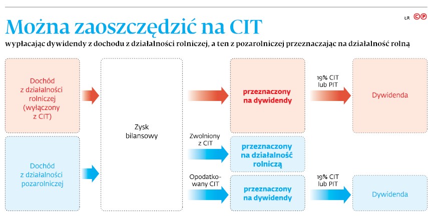 Można zaoszczędzić na CIT