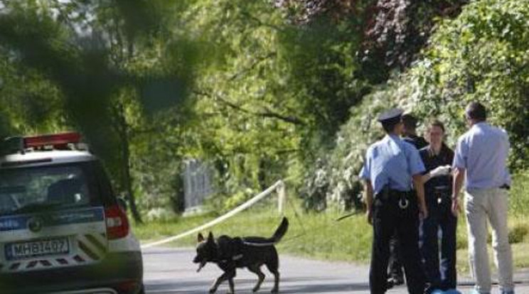 Fegyveres rablókat üldöz a rendőrség