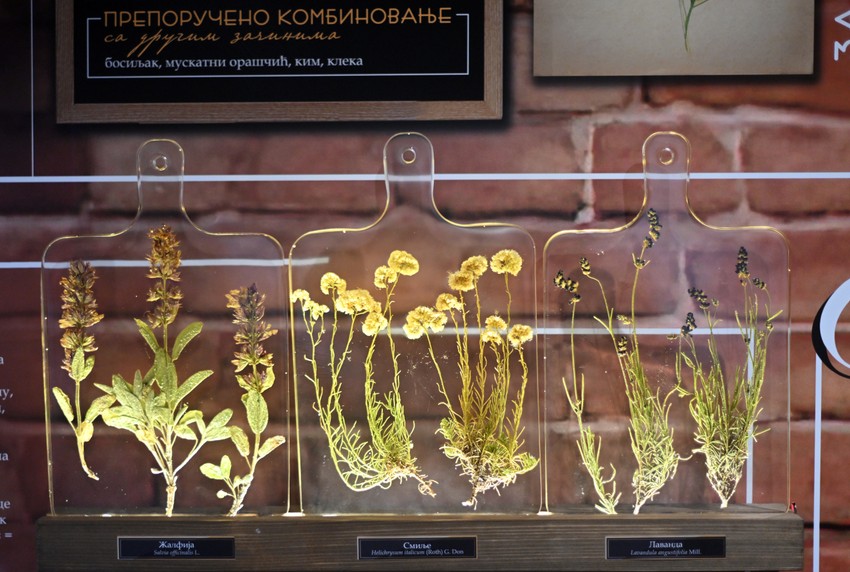 U publikaciji sam kolegi Urošu pomogla da se upotpuni istraživanje o začinskim biljkama i začinima zbog toga što su začinske biljke prvo bile lekovite, a kasnije su postale začini - rekla je dr Aleksandra Maran Stevanović