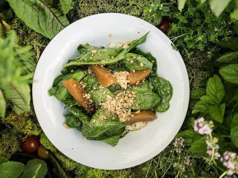 Insalata con spinaci pere e noci-
liście szpinaku z dodatkiem gruszki duszonej w białym winie, posypane wegańskim serem, orzechami wloskimi z dodatkiem musztardowego sosu winegret