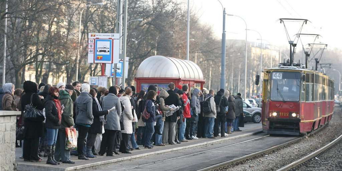 Wożą nas jak bydło!