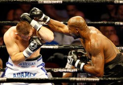 Adamek wygrał, choć leżał na deskach