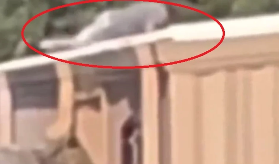 Napadač na Trampa puzi po krovu